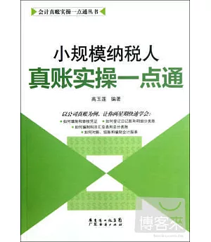 小規模納稅人真賬實操一點通