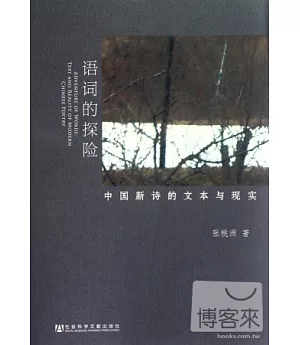 語詞的探險︰中國新詩的文本與現實