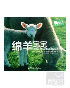 動物萌寶貝︰綿羊寶寶