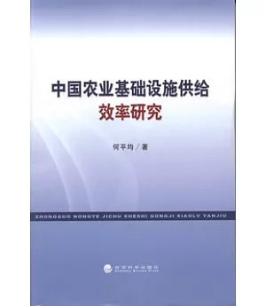 中國農業基礎設施供給效率研究