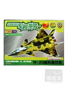 中國陸海空軍模拼裝：殲-20隱形轟炸機(珍藏版)