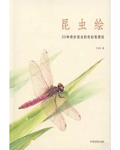 昆蟲繪:30種奇妙昆蟲的色鉛筆圖繪