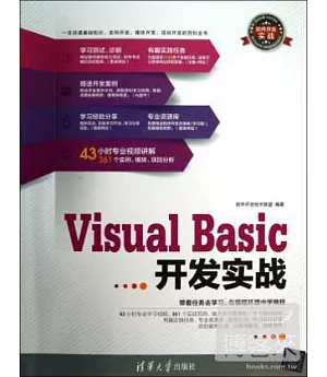 Visual Basic開發實戰