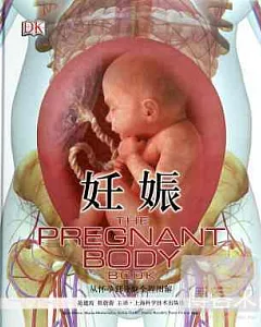 妊娠：從懷孕到分娩全程圖解
