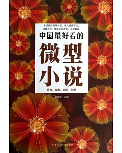 中國最好看的微型小說