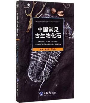 中國常見古生物化石