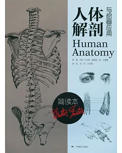 簡讀本·人體解剖與繪畫應用