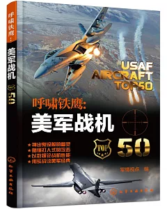 呼嘯鐵鷹：美軍戰機50