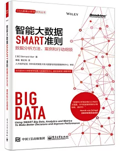 智能大數據SMART准則：數據分析方法、案例和行動綱領