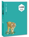 動物小說精品少年讀本：大山貓