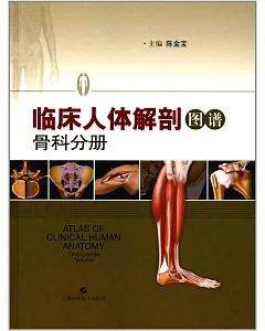 臨床人體解剖圖譜：骨科分冊