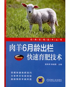 羊肉6月齡出欄快速育肥技術