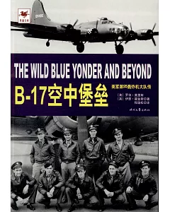 B-17空中堡壘：美軍第95轟炸機大隊傳
