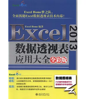 Excel2013數據透視表應用大全（全彩版）