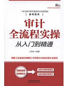 審計全流程實操從入門到精通