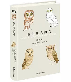 我們迷人的鳥：貓頭鷹