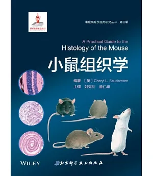 小鼠組織學