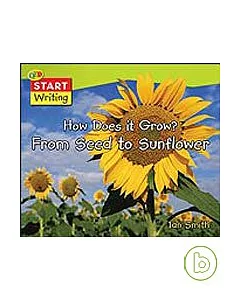 How does it Grow? From Seed to Sunflower