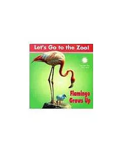 Let’s Go to the Zoo!-Flamingo Grows Up