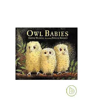 Owl Babies (Miniature Book + CD)