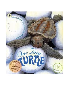 One Tiny Turtle ( Book+CD )