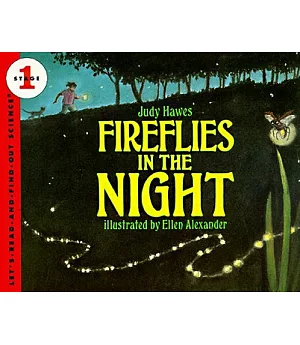 Fireflies in the Night