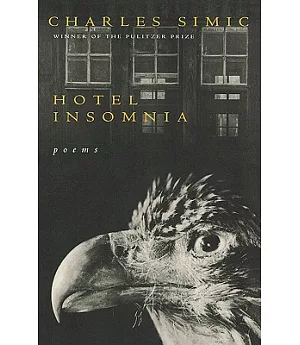 Hotel Insomnia: Poems