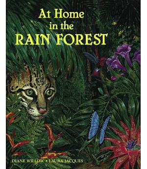 At Home in the Rainforest