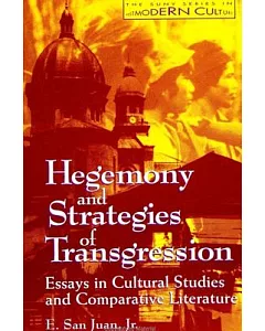 Hegemony and Strategies of Transgression: Essays in Cultural Studies and Comparative Literature