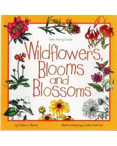 Wildflowers, Blooms, and Blossoms