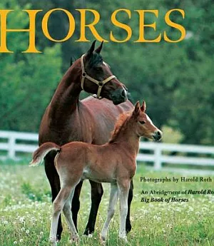 Horses: An Abridgment of Harold Roth’s Big Book of Horses