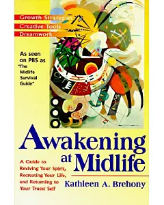 Awakening at Midlife: A Guide to Reviving Your Spirits, Recreating Your Life, and Returning to Your Truest Self
