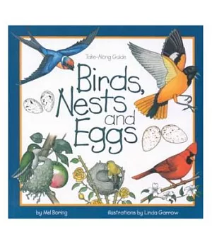 Birds, Nests, & Eggs