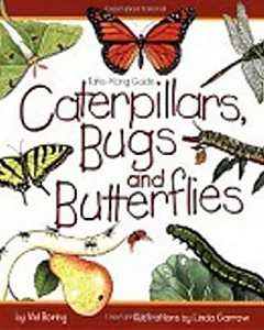 Caterpillars, Bugs & Butterflies