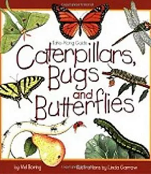 Caterpillars, Bugs & Butterflies