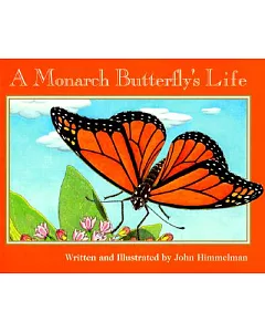 A Monarch Butterfly’s Life