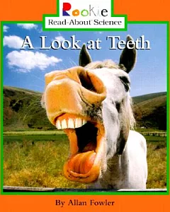 A Look at Teeth