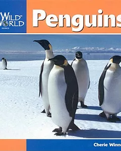 Penguins