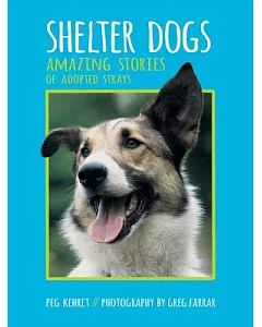 Shelter Dogs: Amazing Stories of Adopted Strays