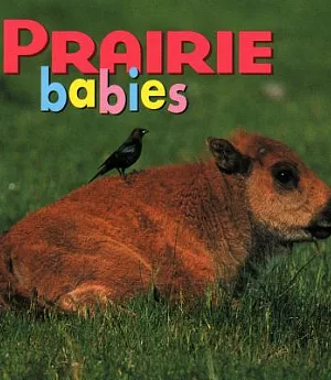 Prairie Babies