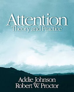 Attention: Theory and Practice