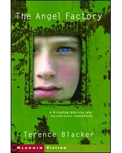 The Angel Factory