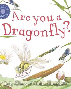 Are You a Dragonfly?