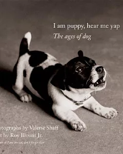 I Am Puppy, Hear Me Yap: The Ages of Dog