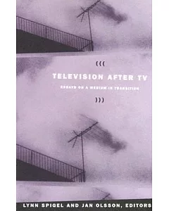 Television After TV: Essays on a Medium in Transition