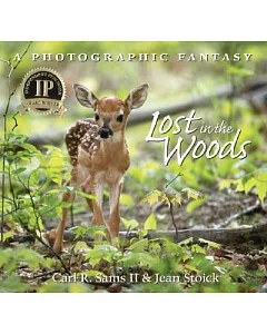 Lost In The Woods: A Photographic Fantasy