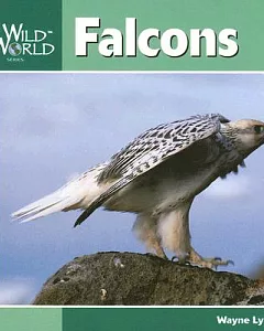 Falcons