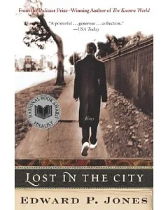 Lost In The City: Stories