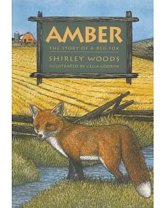 Amber: Story Of A Red Fox