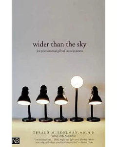 Wider Than The Sky: The Phenomenal Gift Of Consciousness